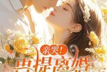 求助这本亲哭!再提离婚,霍总彻底失控了小说在哪里可以看完结版-蔬菜文学