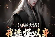 小说穿越大清,我选择以身解救千万百姓主角赵源免费阅读-蔬菜文学