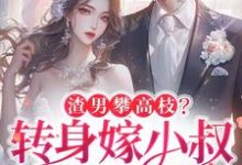 主角是楚翘的小说渣男攀高枝?转身嫁小叔被宠哭在哪免费看-蔬菜文学
