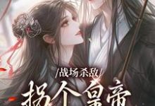 完结版战场杀敌，拐个皇帝当男宠在哪免费看，季姜顾雁行小说在线阅读-蔬菜文学