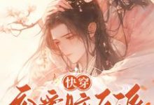 快穿：恋爱脑反派不接受BE剧本无弹窗戴柯墨枭最新章节列表-蔬菜文学