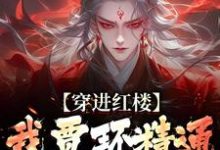贾环小说的结局在哪可以看，穿进红楼，我贾环精通朝堂争斗免费阅读完结版-蔬菜文学