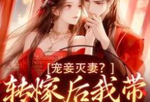 宠妾灭妻?转嫁后我带皇子夺王位(魏芷殊)完结版免费阅读-蔬菜文学
