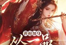 黄袍加身,从一品侯爵开始(卫小宝)完结版免费阅读-蔬菜文学