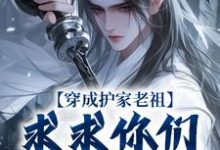 秦禾柳青元小说免费阅读最新章节列表,穿成护家老祖,求求你们积点德吧小说在线看-蔬菜文学
