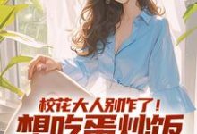 校花大人别作了!想吃蛋炒饭点外卖完结版时远苏意免费阅读大结局-蔬菜文学
