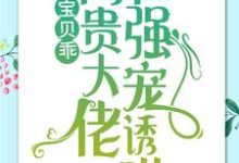 简以宁陆怀瑾在线阅读，宝贝乖：高贵大佬在强宠诱哄小说完结版章节-蔬菜文学