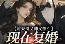 安婳肖政小说的结局在哪可以看，前夫哥又帅又撩？现在复婚来得及吗免费阅读完结版-蔬菜文学