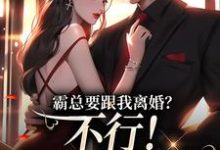 霸总要跟我离婚?不行!我身无分文无弹窗覃笙最新章节列表-蔬菜文学