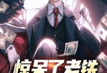 惊呆了老铁，他又被提拔了免费阅读，林风大结局无弹窗-蔬菜文学