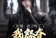 精彩章节阅读红楼:庶子咋了,我怒夺贾宝玉风头(贾玓)免费小说在线看-蔬菜文学