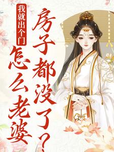 我就出个门，怎么老婆房子都没了？精彩章节在线免费阅读（宋知婉萧长风）