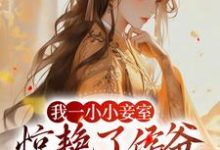 我一小小妾室，惊艳了侯爷很合理吧免费阅读，叶青芷谢晋大结局无弹窗-蔬菜文学