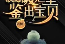 震惊！我能从破烂里鉴出宝贝！最新章节震惊！我能从破烂里鉴出宝贝！在线阅读-蔬菜文学