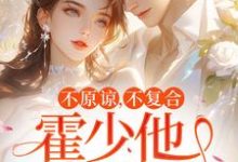 不原谅,不复合,霍少他觊觎我大结局,苏眠小说无广告阅读-蔬菜文学