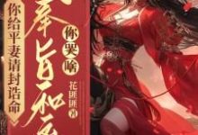 你给平妻请封诰命,我奉旨和离你哭啥?大结局,陆知苒小说无广告阅读-蔬菜文学