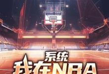 主人公是林浩科比的小说系统：我在NBA把把都超神免费阅读-蔬菜文学
