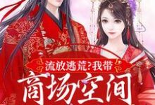 流放逃荒？我带商场空间活的舒服嘞在线看，林书棠段砚洲小说大结局在哪免费看-蔬菜文学