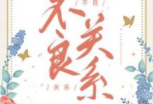 不良关系免费阅读,桑胤衡南枫大结局无弹窗-蔬菜文学
