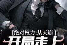 绝对权力：从天崩开局走上官途巅峰精彩章节在线免费阅读（徐子杰宁傲雪）-蔬菜文学
