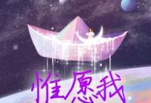 小说惟愿我不曾深爱(夏墨傅哲)最新章节在哪看-蔬菜文学