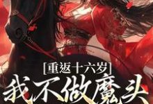 重返十六岁,我不做魔头改修仙了完结版晏琅免费阅读大结局-蔬菜文学