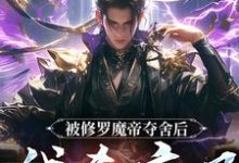 宋萧然在线阅读，被修罗魔帝夺舍后，我杀疯了小说完结版章节-蔬菜文学