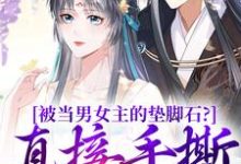 主人公是云子娆墨苍澜的小说被当男女主的垫脚石？直接手撕剧本免费阅读-蔬菜文学