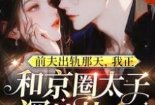 小说前夫出轨那天，我正和京圈太子深情热吻（温妍）最新章节在哪看-蔬菜文学