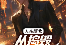 人在缅北，从捣毁科技园开始大结局，韩潇小说无广告阅读-蔬菜文学