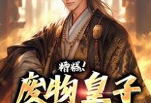 小说糟糕!废物皇子他觉醒了主角徐元南宫璃免费阅读-蔬菜文学
