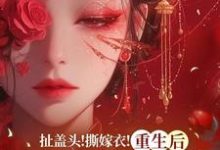 扯盖头!撕嫁衣!重生后她不忍了热门小说(司若雪墨锦成)在线阅读无弹窗-蔬菜文学