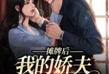 摊牌后,我的娇夫变小弟热门小说(南烟傅靳司)在线阅读无弹窗-蔬菜文学