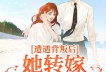 跪求主角是叶千纯陆瑾川的小说书名叫什么-蔬菜文学