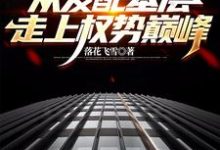 求助这本官梯：从发配基层走上权势巅峰小说在哪里可以看完结版-蔬菜文学