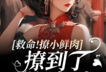 救命！撩小鲜肉撩到了顶级权贵！免费阅读(李善)小说免费读最新章节-蔬菜文学