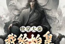 快穿大秦:我给始皇当左相最新章节快穿大秦:我给始皇当左相在线阅读-蔬菜文学
