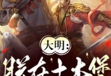 朱祁镇小说免费阅读最新章节列表，大明：朕在土木堡杀疯了小说在线看-蔬菜文学