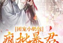 团宠小奶包,疯批暴君沉迷养崽无弹窗萧璟月萧永乾最新章节列表-蔬菜文学