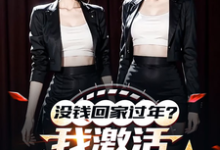没钱回家过年?我激活0元购系统免费阅读,陈东林雨桐大结局无弹窗-蔬菜文学