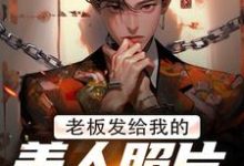 老板发给我的美人照片是老板娘小说最新章节在哪里可以免费看-蔬菜文学
