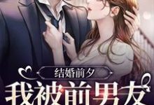 薄寒深曲南枝最新章节列表结婚前夕,我被前男友带走了免费阅读-蔬菜文学