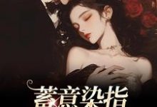 蓄意染指：大佬病态缠欢热门小说(沈行川桑妩)在线阅读无弹窗-蔬菜文学