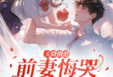 天降倒追，前妻悔哭求复合精彩章节在线免费阅读（李沐风）-蔬菜文学