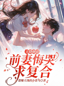 天降倒追，前妻悔哭求复合精彩章节在线免费阅读（李沐风）