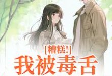 糟糕！我被毒舌霸总缠上了精彩章节阅读(迟笙沈京洲)免费阅读大结局-蔬菜文学