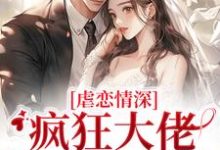 虐恋情深：疯狂大佬追妻火葬场完结版傅司臣盛矜北免费阅读大结局-蔬菜文学