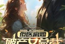 傻医离婚，破产女总裁捡到宝完结版杨路年兮兮免费阅读大结局-蔬菜文学