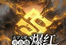 玄学大佬开直播，爆红阴阳两界（主角虞初见孟白首）完结版免费阅读-蔬菜文学