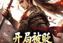 主角是赵惊鸿嬴政的小说开局被贬,我要掠夺江山在哪免费看-蔬菜文学